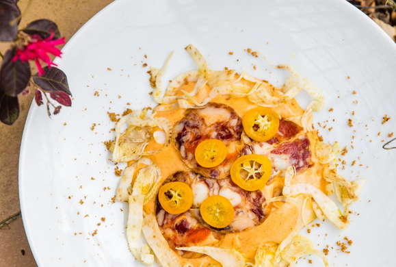 Plat Le Marronnier 1